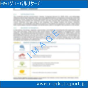 市場と産業調査レポートのイメージ